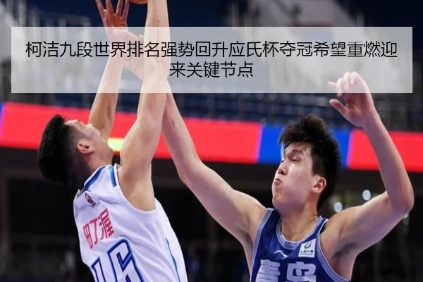 ke-jie-jiu-duan-shi-jie-pai-ming-qiang-shi-hui-sheng-ying-shi-bei-duo-guan-xi-wang-zhong-ran-ying-lai-guan-jian-jie-dian-3-293.jpg