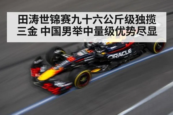 田涛世锦赛九十六公斤级独揽三金 中国男举中量级优势尽显